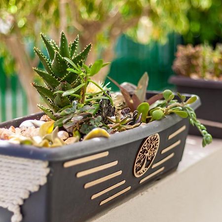 Cactus Lägenhet Maspalomas  Exteriör bild