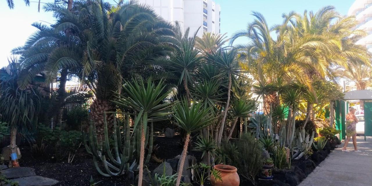 Cactus Lägenhet Maspalomas  Exteriör bild