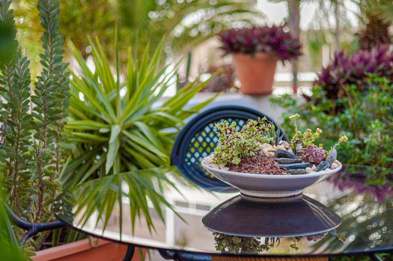Cactus Lägenhet Maspalomas  Exteriör bild